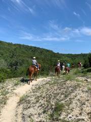 Stricker Trail Rides