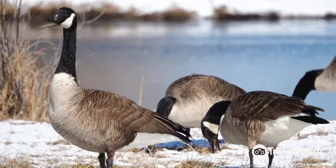 William W. Powers State Recreation Area