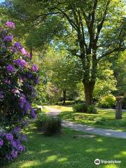 Wordsworth Daffodil Garden