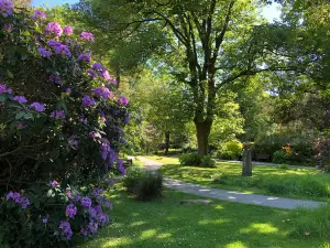 Wordsworth Daffodil Garden