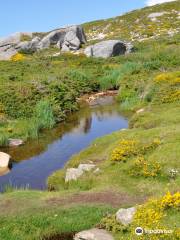 Plateau du Coscione