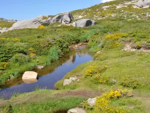 Plateau du Coscione