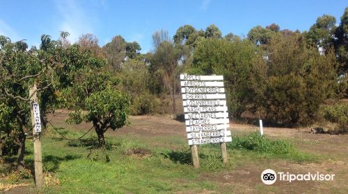 Sorell Fruit Farm