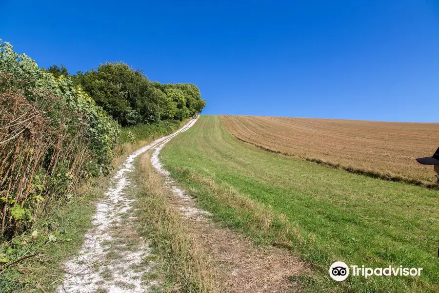 Hambledon Hill