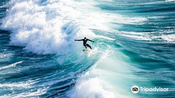 Fresh Surf Surf School