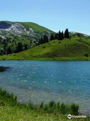 Meienberg - Lake Seeberg - Zweisimmen