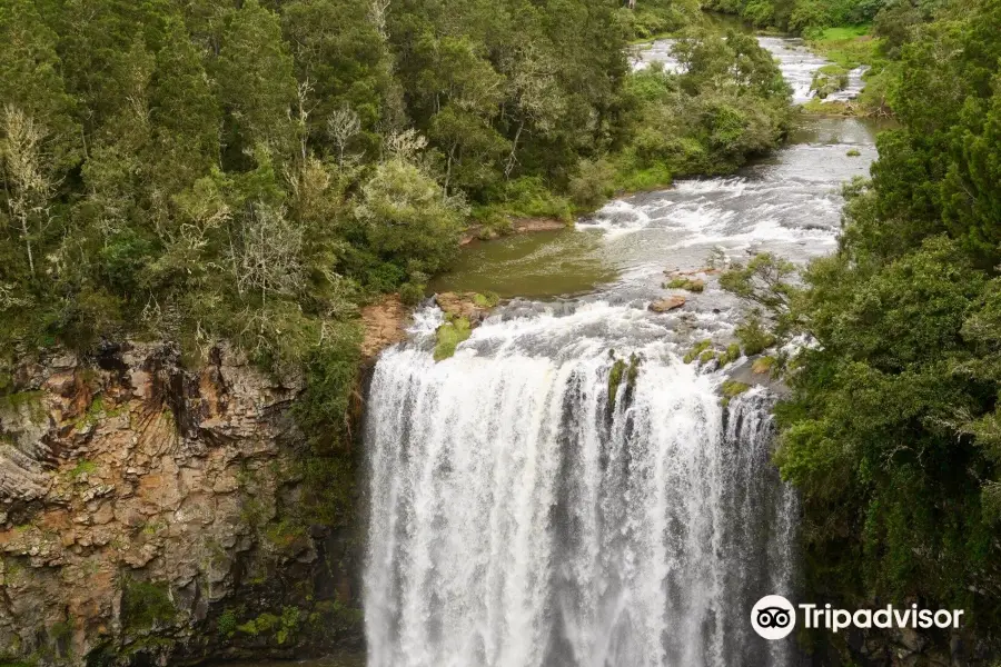 Dangar Falls