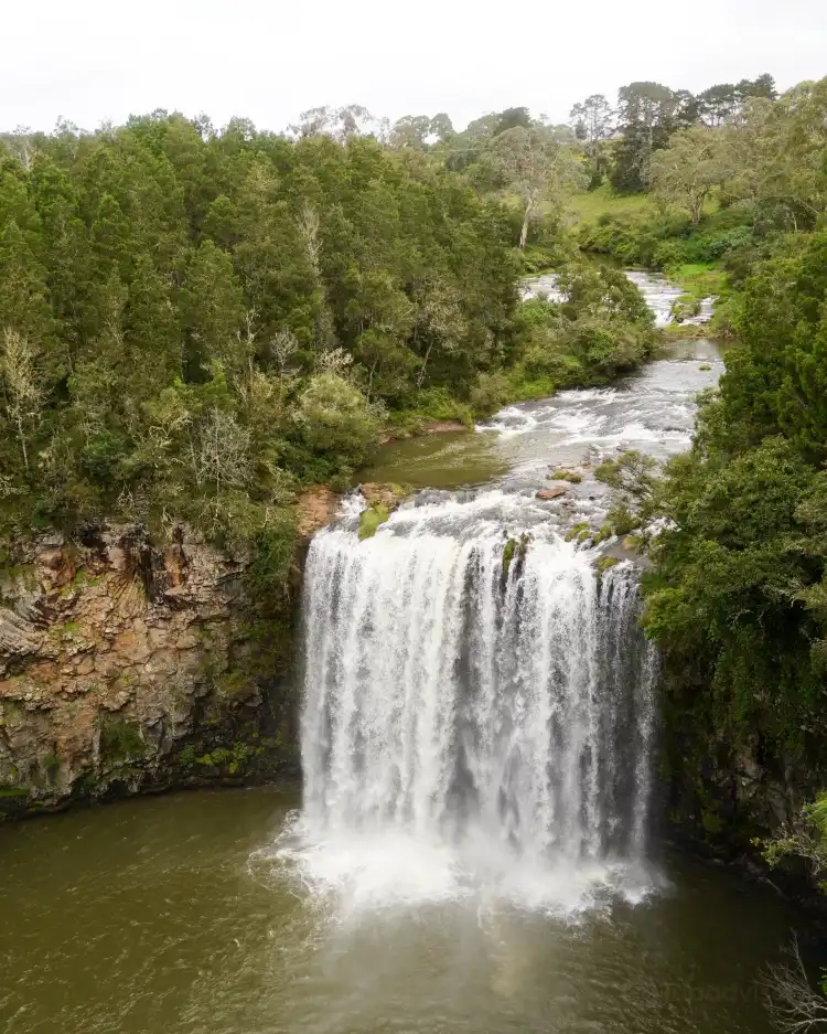 Hotels in Dorrigo