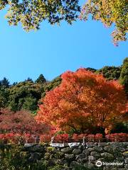 雷山 千如寺 大悲王院