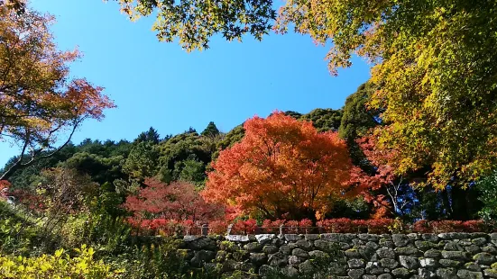 雷山千如寺 大悲王院