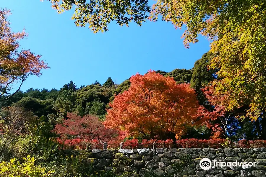 雷山千如寺 大悲王院