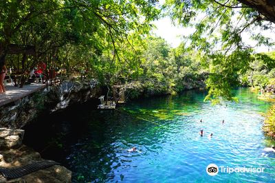 Cenote Jardin del Eden