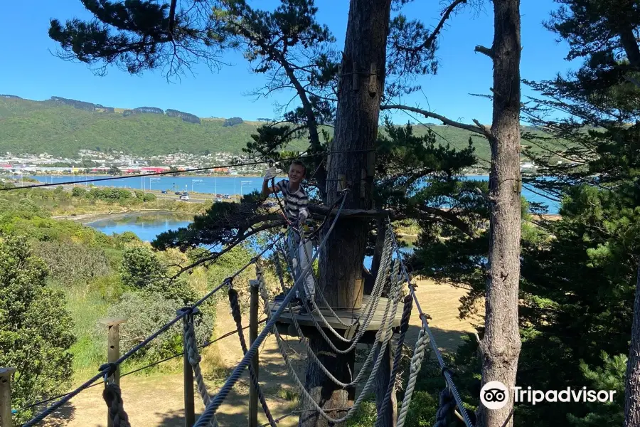 Adrenalin Forest Wellington