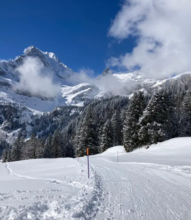 Glarus Sud