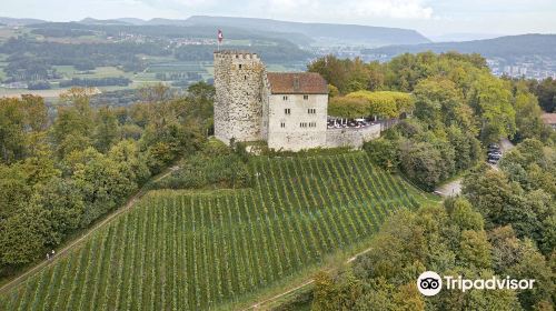 Habsburg Castle