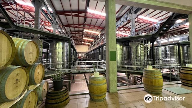 Lourensford Wine Estate