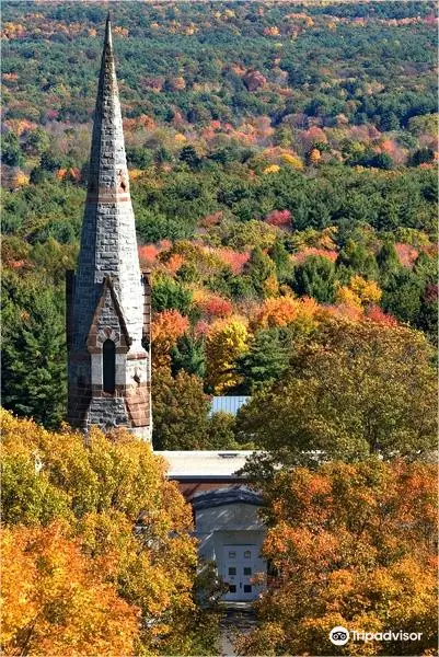 Mead Art Museum