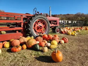 Dollinger Family Farm