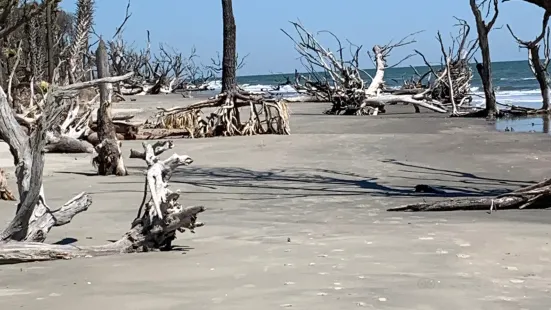 Bulls Island Ferry