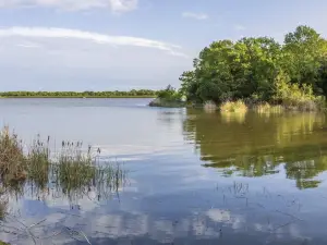 Purtis Creek State Park