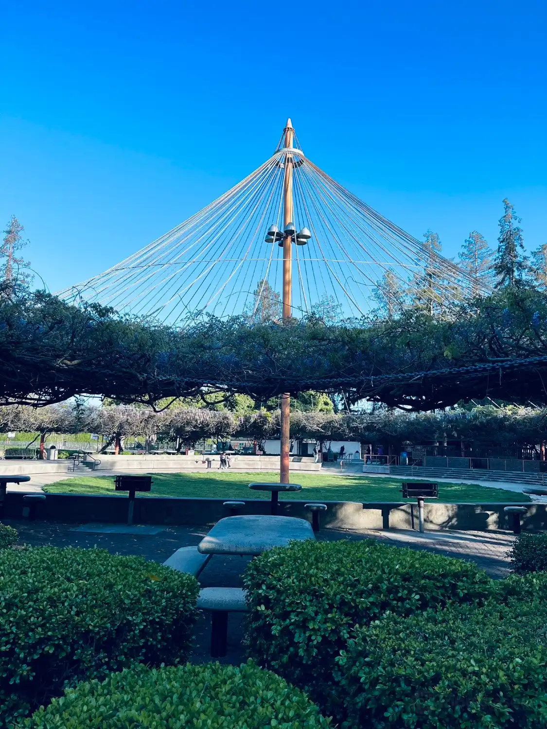 Hotels near Central Park