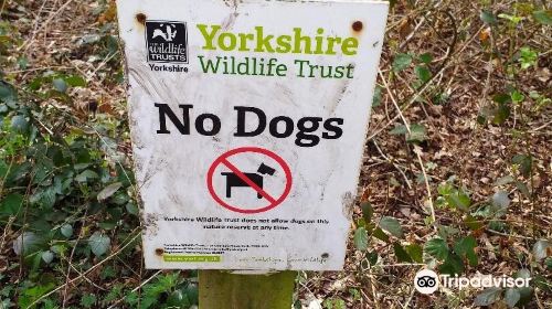 North Cliffe Wood Nature Reserve