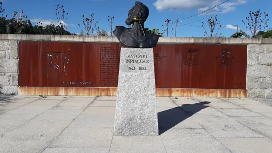 Busto António Variações