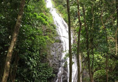 Cascada el tigre