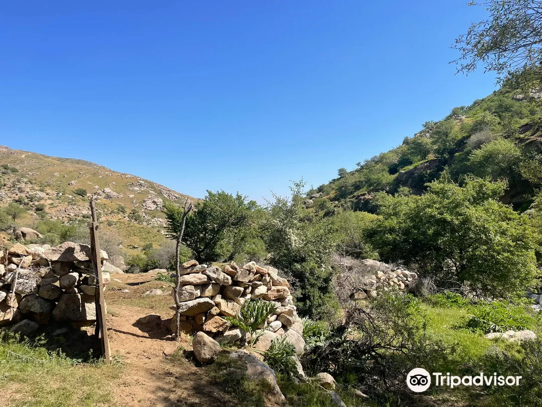 1_Samarkand Tourist Information Center