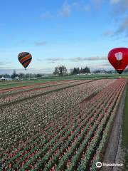 Portland Rose Hot Air Balloons
