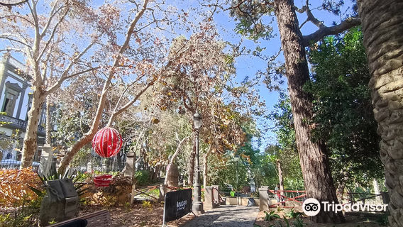 Parque Municipal de Arucas