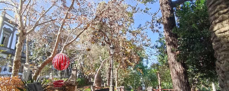 Parque Municipal de Arucas