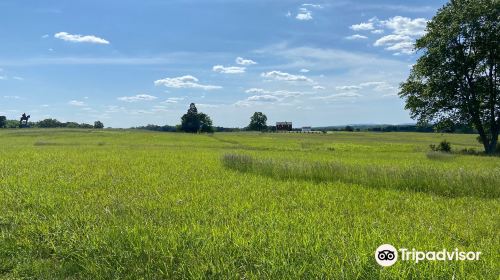 Manassas National Battlefield Park