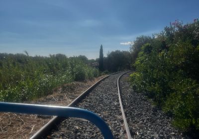 Pedalorail