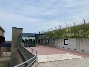 Liberation Museum (Musee de la Liberation)