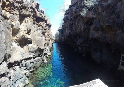 拉巴哥群島海水泳池