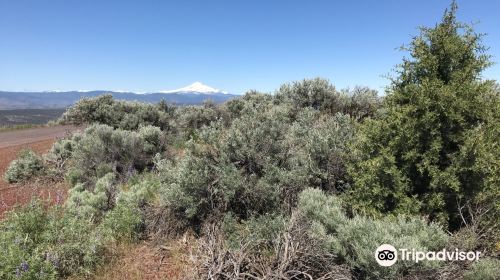 Round Butte Overlook Park