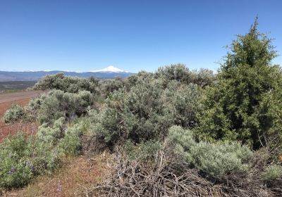 Round Butte Overlook Park