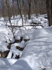 High Point Cross Country Ski Center