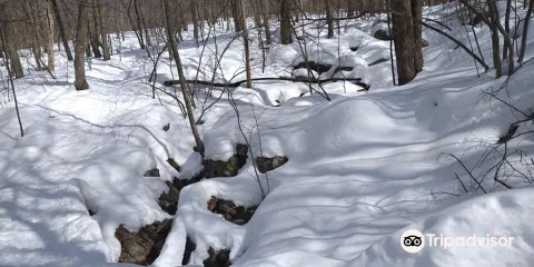 High Point Cross Country Ski Center