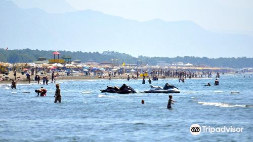 Long Beach (Velika plaža)