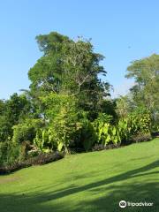 Jardin Botanico de Cartagena Guillermo Pineres