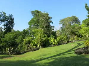 Jardin Botanico de Cartagena Guillermo Pineres
