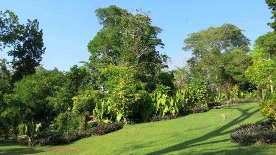 Cartagena Botanical Garden "Guillermo Piñeres"
