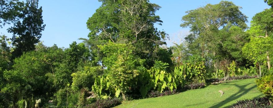 Cartagena Botanical Garden Guillermo Piñeres