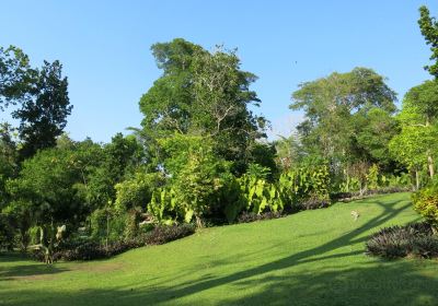 Cartagena Botanical Garden "Guillermo Piñeres"