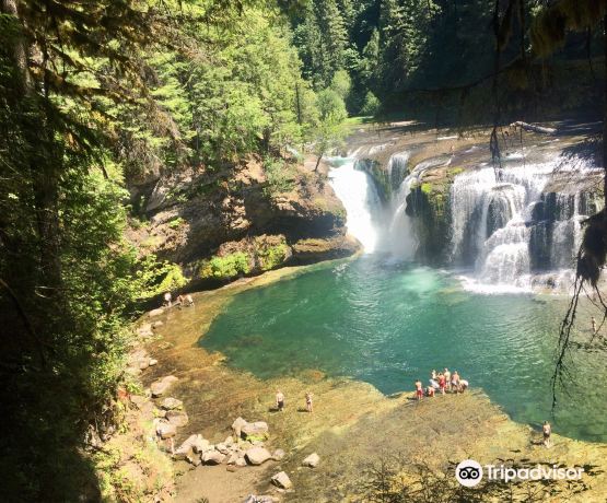 Lower Lewis River Falls