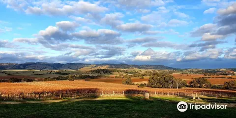 God's Hill Wines