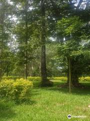 Jardin botanique