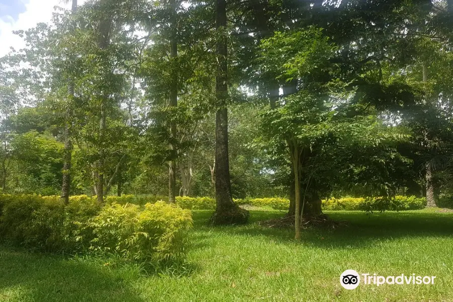 Jardin botanique